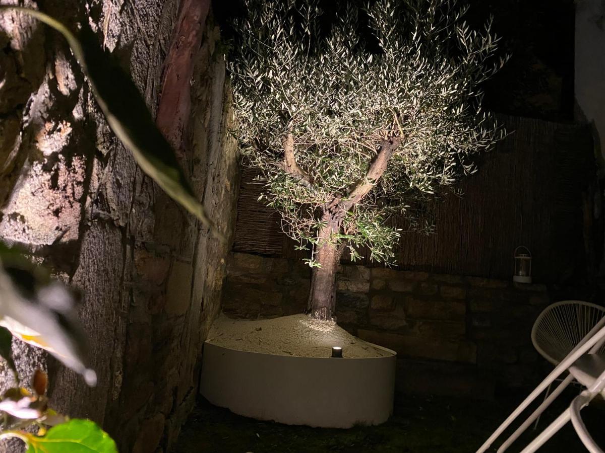 TY LAUMANN petite maison jardin sur le port de vannes avec Parking souterrain Extérieur photo